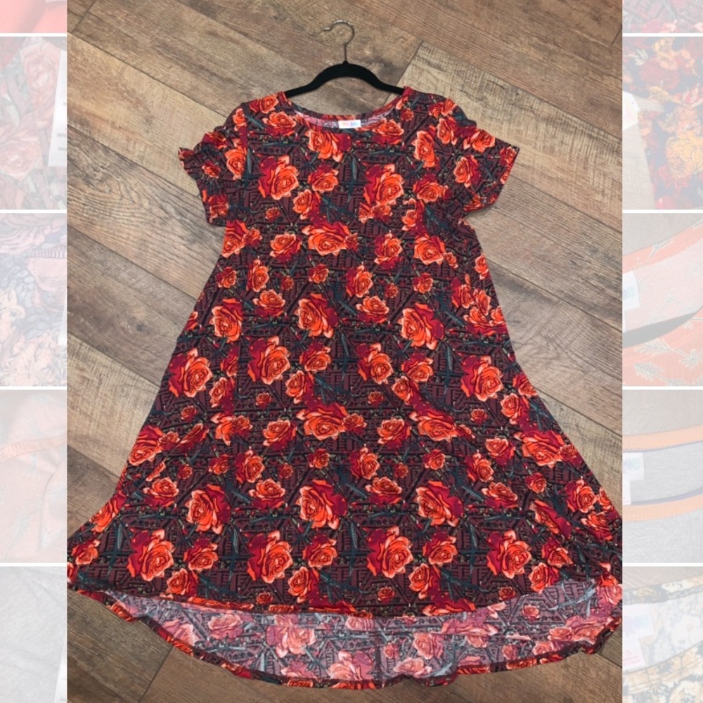 EUC Carly Dress